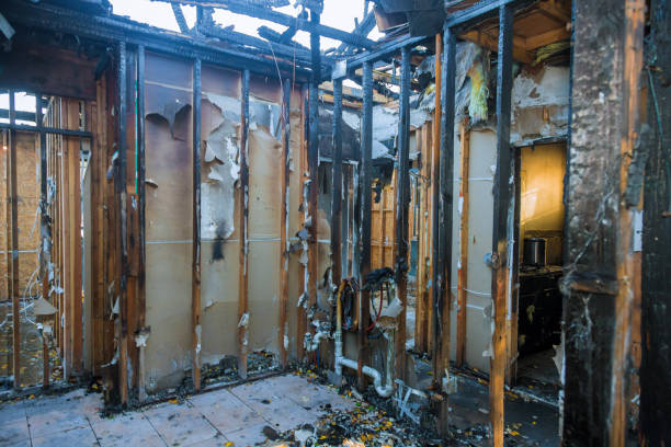 Professional Fire Damage Removal technician working in Flemington, GA